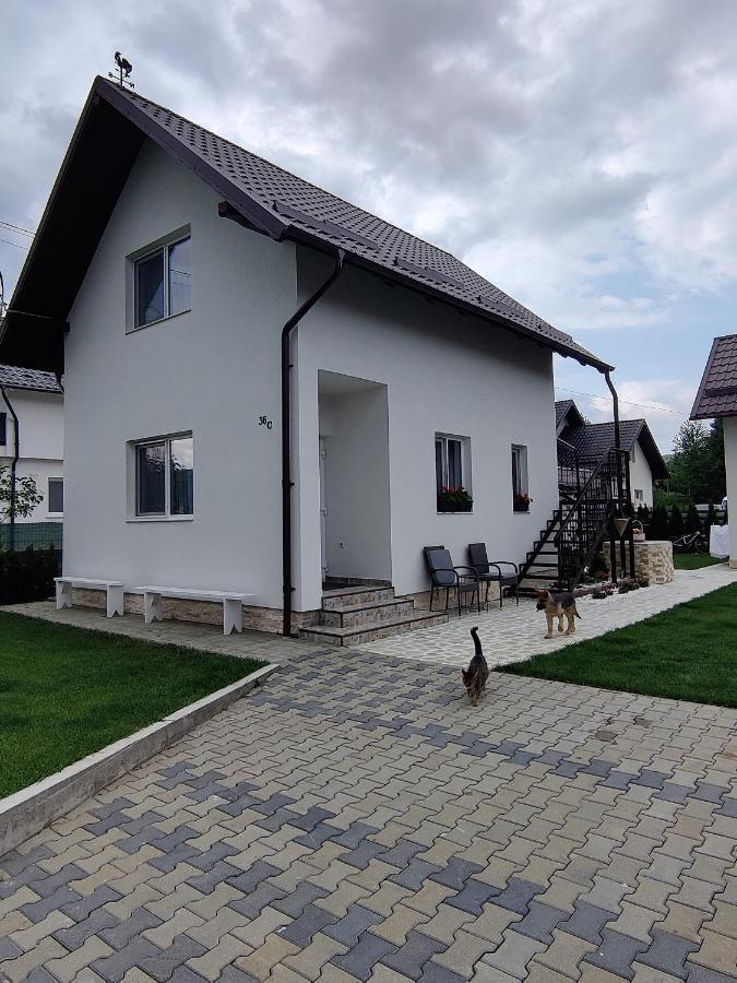 Vizuina Lupului Hotel Gura Humorului Exterior photo